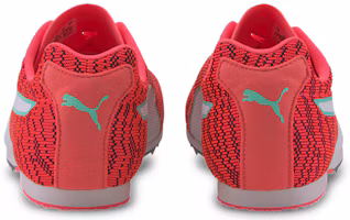Shop 彪馬 Evospeed Star 6 紅