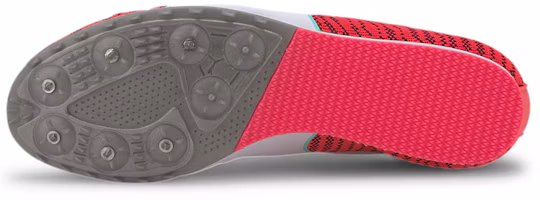 Purchase 彪馬 Evospeed Star 6 紅