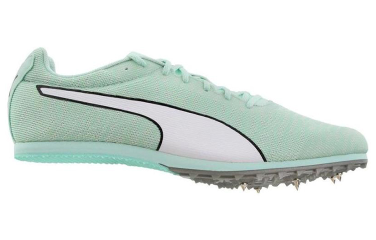 Order Puma Evospeed Star 6 ''Teal'' Türkis 190439-06