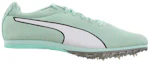 Order Puma Evospeed Star 6 ''Teal'' Türkis 190439-06