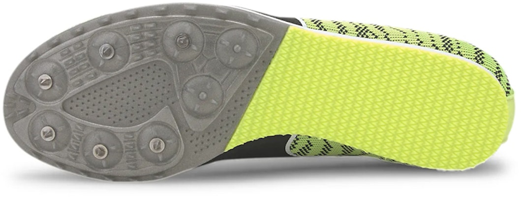 Puma Evospeed Star 6 Yellow/ 'Black' 190439-08 Purchase Puma Evospeed Star 6 Yellow/ 'Black' 190439-08