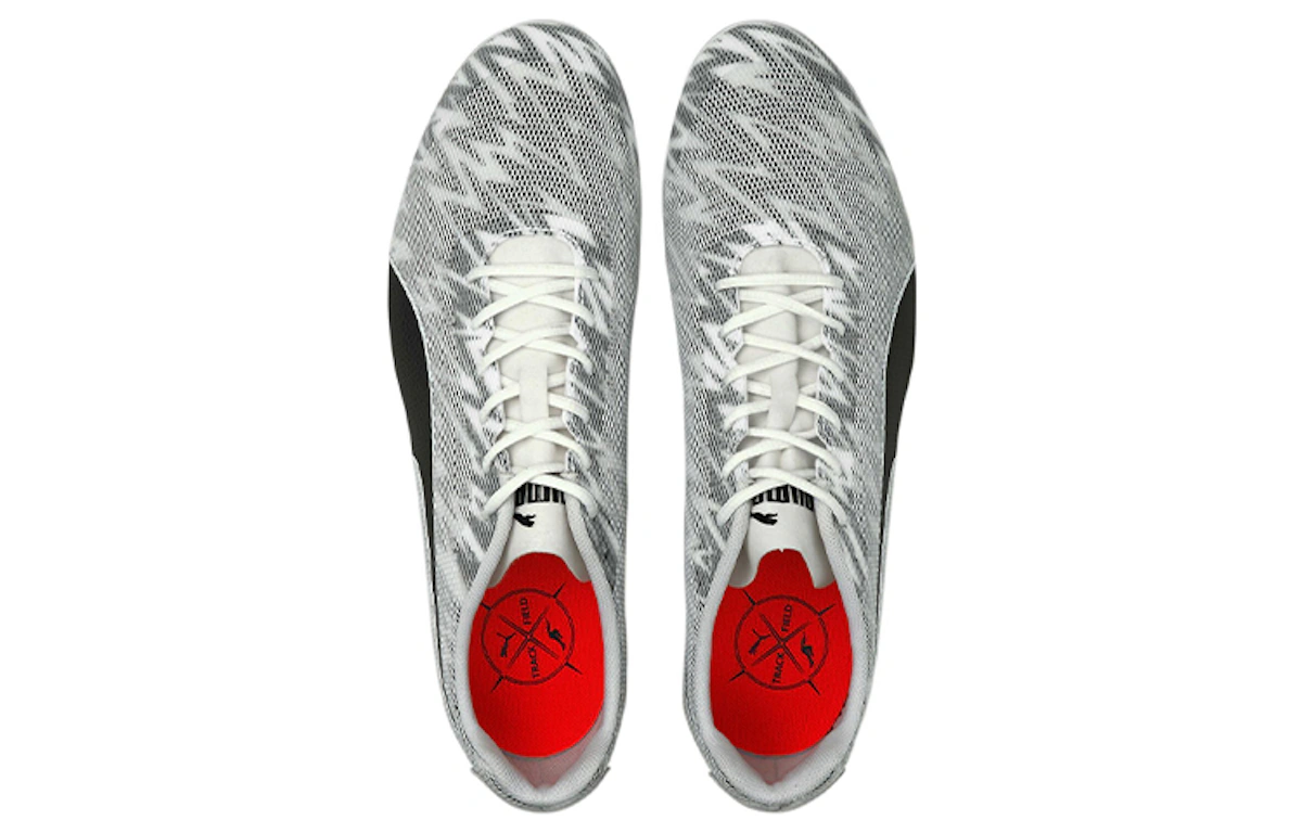 Puma Evospeed Star 7 'White Black Silver'