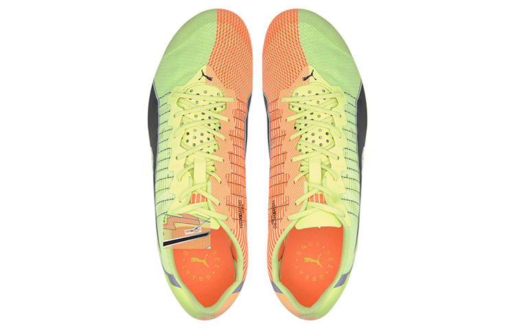 Shop Puma Evospeed Tokyo Brush 'Naranja' 192860-01