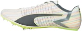 Buy Puma evoSPEED Tokyo Brush 3 Track and Field 'White Green' 376331-01