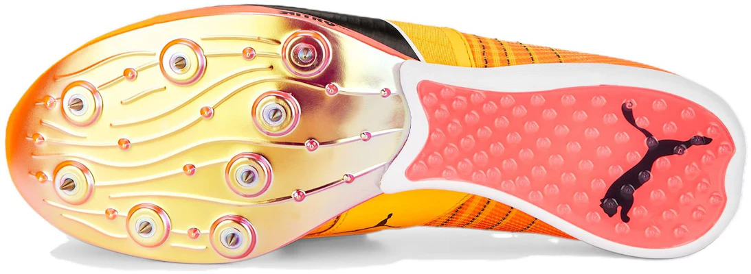 Puma evoSPEED Tokyo Nitro 'Orange Black' 378955-01 Purchase Puma evoSPEED Tokyo Nitro 'Orange Black' 378955-01