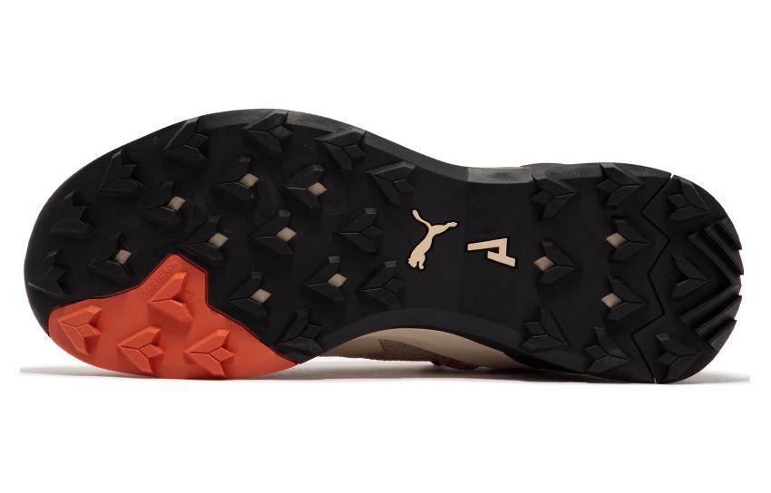 Details for Puma Explore Nitro ''Granola'' Sneaker 377854-02