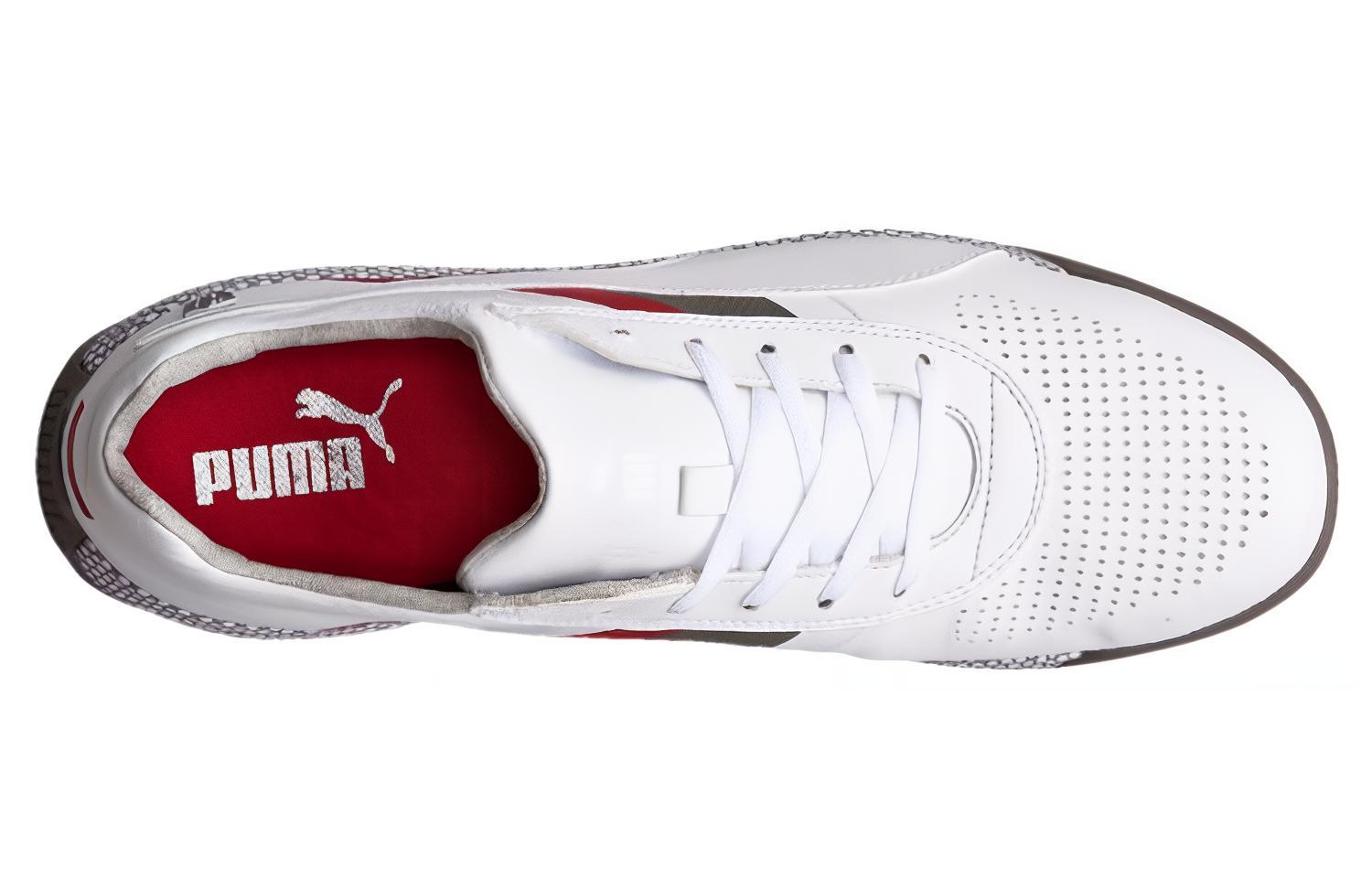 Shop Puma Ferrari Podio SF 'White' 305808-03