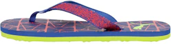 Buy Puma Ferric Idp Slip-On ''Paars Groen'' 370883-03