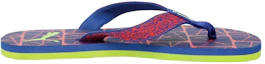 Order Puma Ferric Idp Slip-On ''Paars Groen'' 370883-03