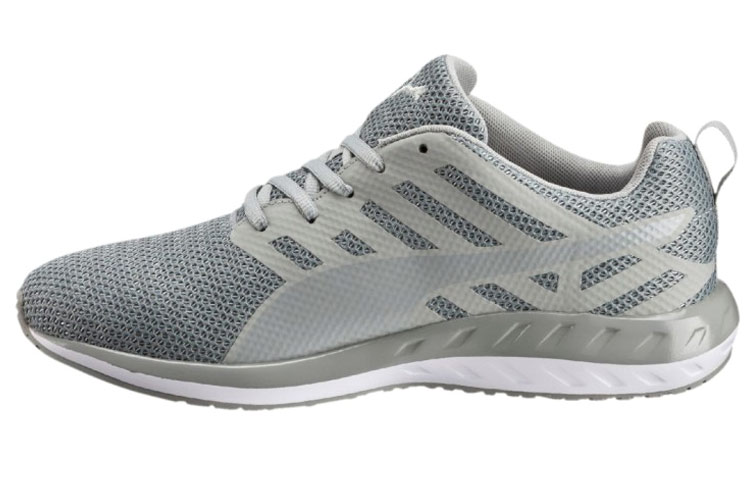 Puma Flare Metal 'Grey' 189032-01