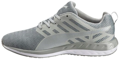 Puma Flare Metal 'Grey' 189032-01 Puma Flare Metal 'Grey' 189032-01