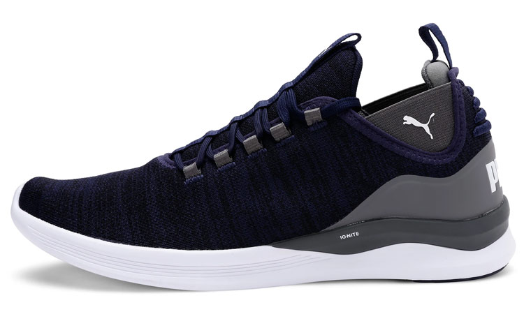 Puma Flash Daunt 'Deep Blue' 192750-06