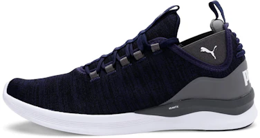 Puma Flash Daunt 'Deep Blue' 192750-06 Puma Flash Daunt 'Deep Blue' 192750-06