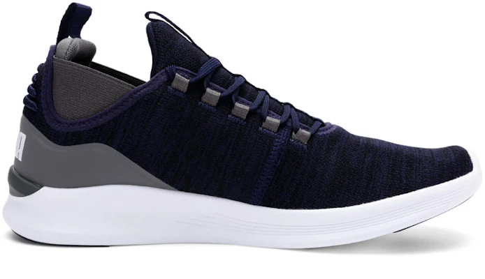 Puma Flash Daunt ''Diep Blauw'' 192750-06 Order Puma Flash Daunt ''Diep Blauw'' 192750-06