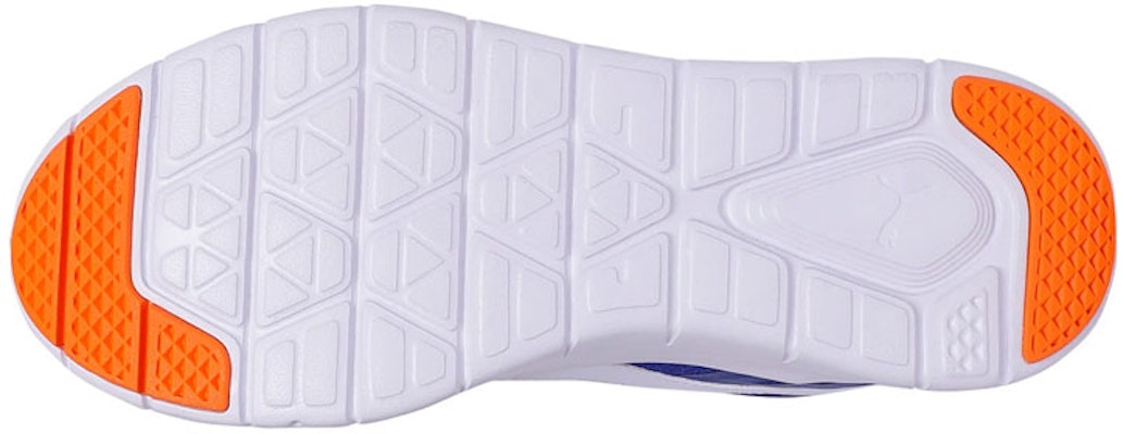 彪马 Flex Essential 蓝色运动鞋 365268-15 Purchase 彪马 Flex Essential 蓝色运动鞋 365268-15