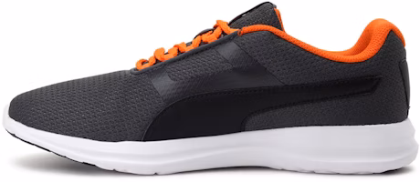 Puma Flex Extreme IDP 'Grey Black Orange' 380456-01