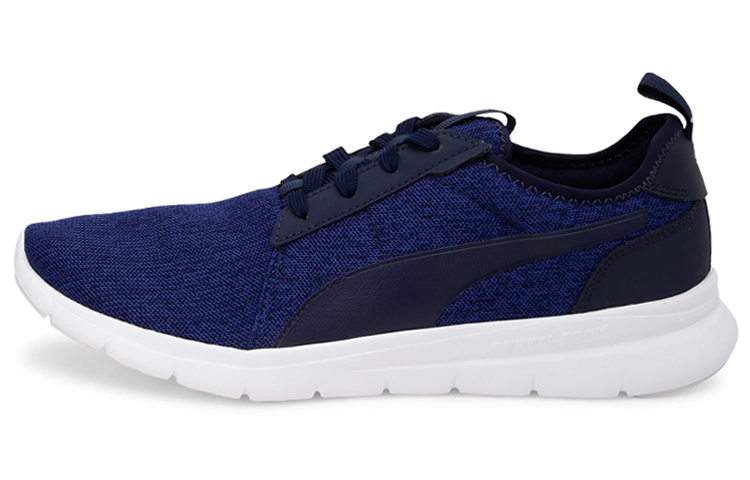 Puma Flex Fresh Sports Shoes Blue 370512-03