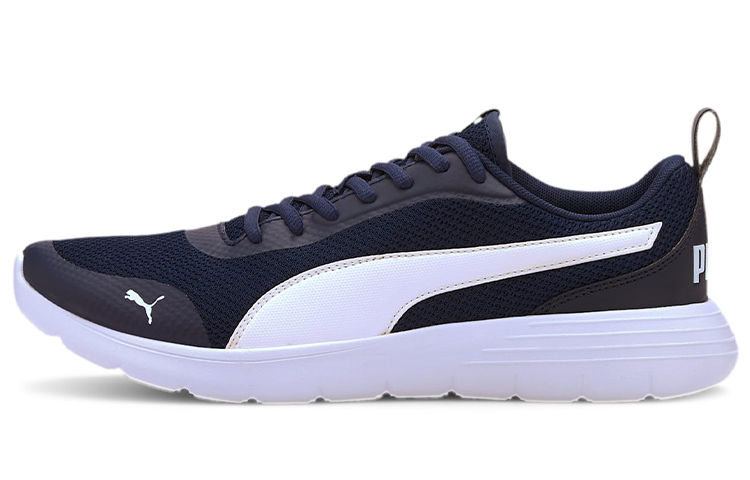 Buy Puma Flex Renew Zwart Wit 371120-09