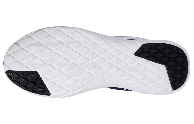 Details for プーマ フレックス T1 IDP 青/白 368320-05