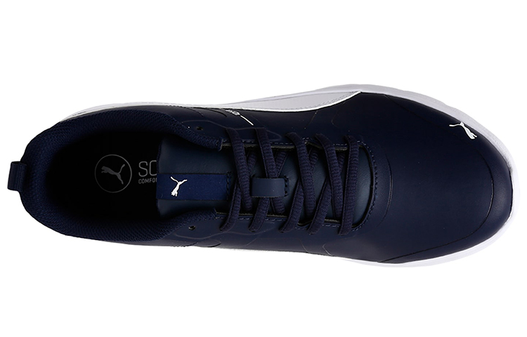 Shop Puma Flexracer v2 Sl SoftFoam ''Blauw Wit'' 365269-03