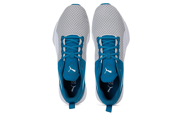 Lookbook Puma Flyer Runner 減震低筒運動跑步鞋 女款 藍白