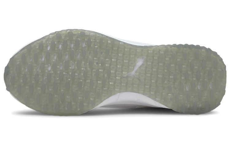 Purchase Puma Fusion EVO Grigio/Bianco 193850-02
