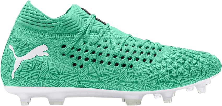 Puma future 19.1 sales limited edition fg/ag