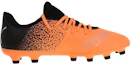 Order Puma Future Z HG/AG 'Orange Black' 106768-01