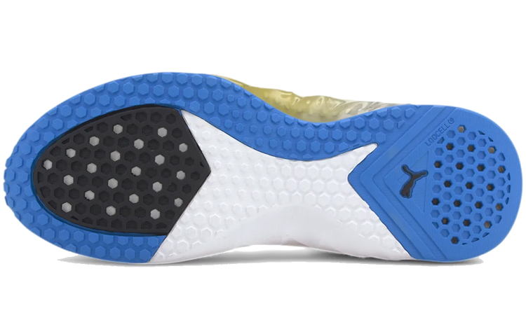 Purchase Puma Gold's Gym x PUMA Lqdcell Hydra 'Negro Azul Oro' 193987-02