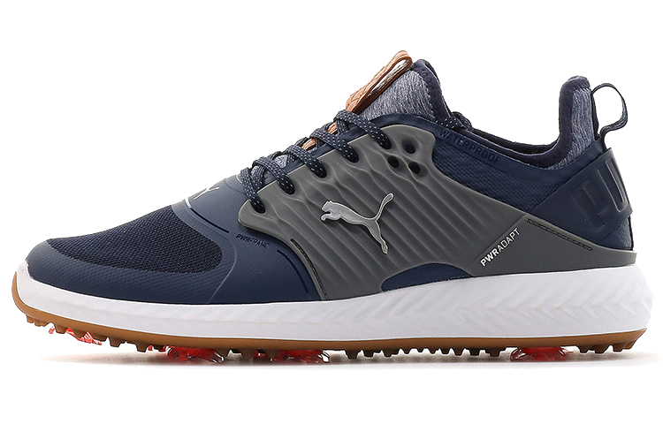 Puma Golf Ignite Power Adapt 'Blue Grey' 192223-04
