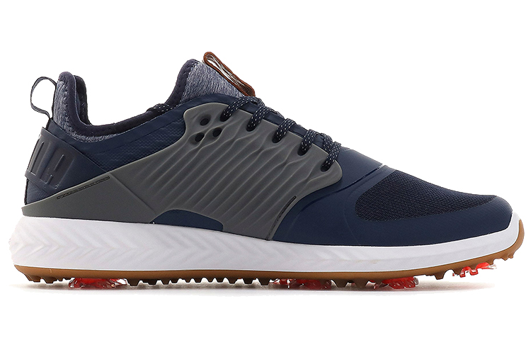 Order Puma Golf Ignite Power Adapt 'Blue Grey' 192223-04