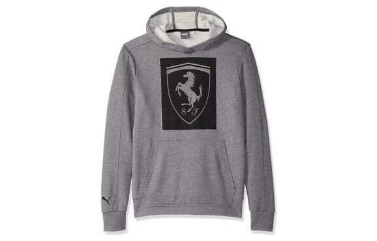 Puma Graphic Print Hoodie with Kangaroo Pocket Gray Long Sleeve Sweater 576683-03