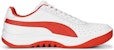 Guillermo Vilas x Puma GV Istimewa 'Ulang Tahun ke-75' 393330-01