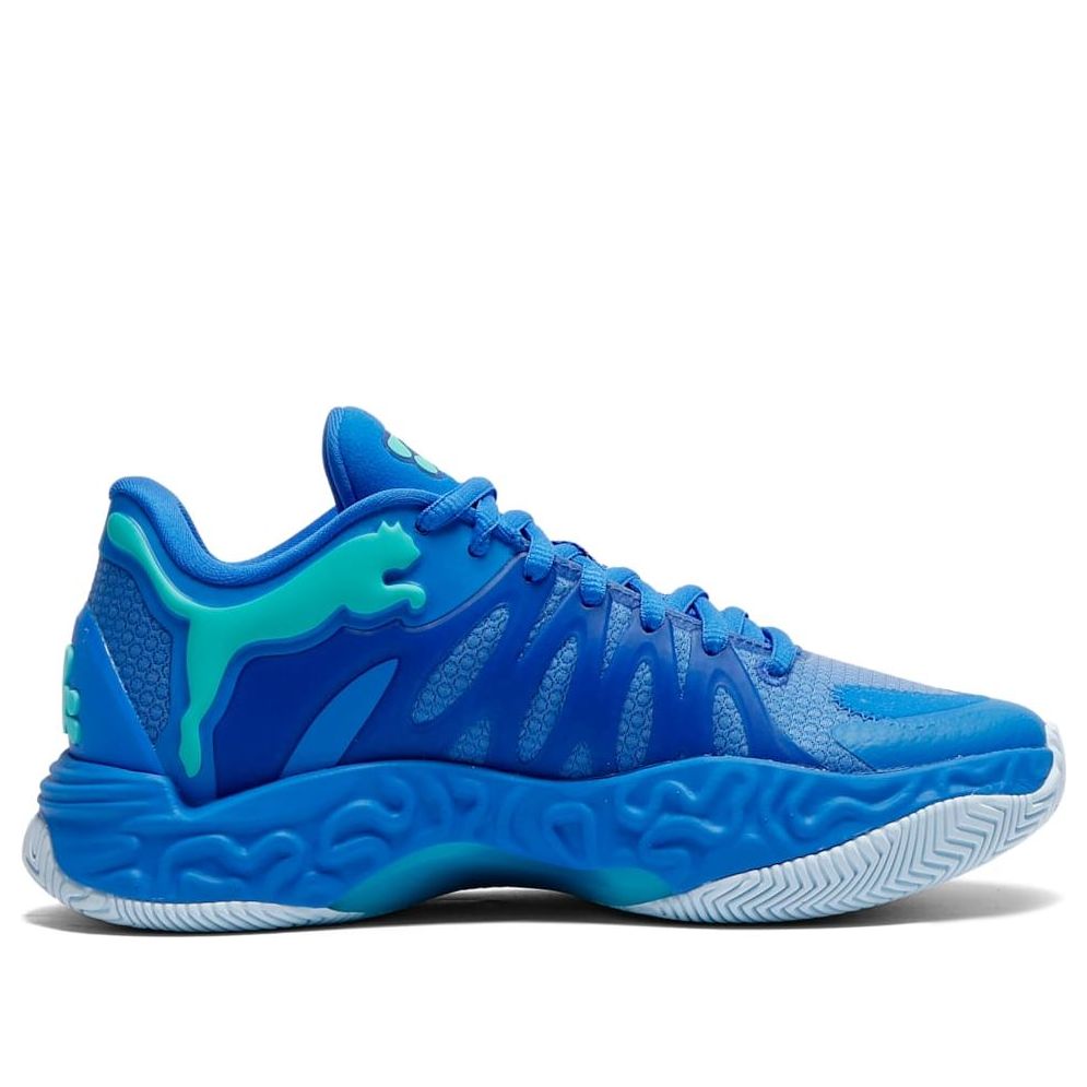 Details for プーマ ハリ 1 ''ブルー'' 313455-01