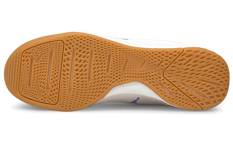 Purchase Puma Ibero 2 Futsal ''Blanc Vert Bleu'' 106567-02