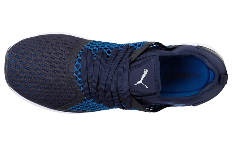 Puma Ignite 4 Netfit 'Blue Low-Top' 圖 4