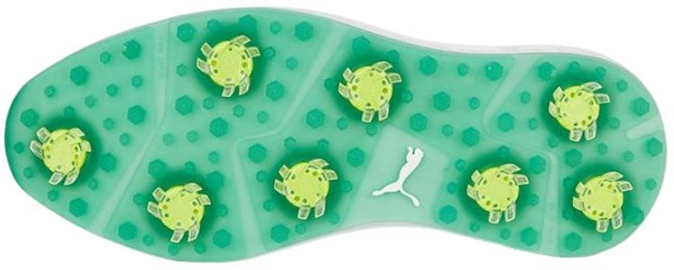 Puma Ignite Articulate Azalea 'Putih Hijau Arsip' 378334-01 Purchase Puma Ignite Articulate Azalea 'Putih Hijau Arsip' 378334-01