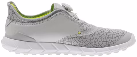Order Puma Ignite Disc Extreme ''Grigio Chiaro'' 190169-02