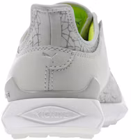 Shop Puma Ignite Disc Extreme ''Grigio Chiaro'' 190169-02