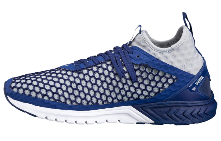 Buy Puma Ignite Dual Netfit 'Gris Azul' 190002-02