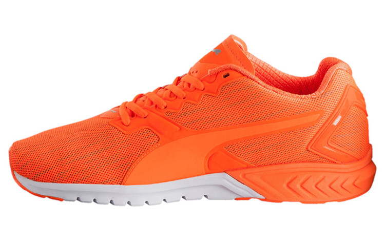 Puma Ignite Dual Nightcat Low Cut Running Shoes Orange 189354-02