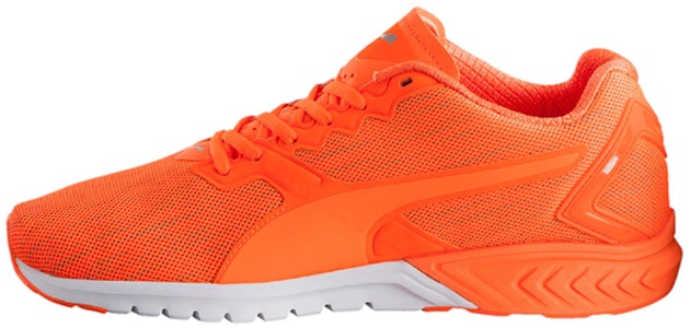 푸마 이그나이트 듀얼 나이트캣 로우 러닝화 오렌지 189354-02 Buy 푸마 이그나이트 듀얼 나이트캣 로우 러닝화 오렌지 189354-02