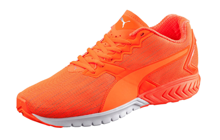 Order 푸마 이그나이트 듀얼 나이트캣 로우 러닝화 오렌지 189354-02