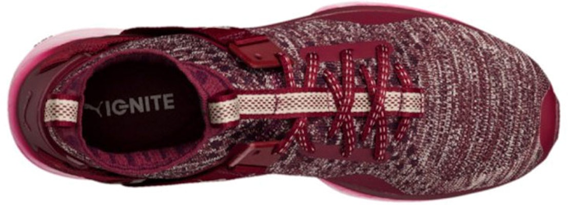 Buy Puma Ignite Evo Knit Burgundy 189895 02 Novelship