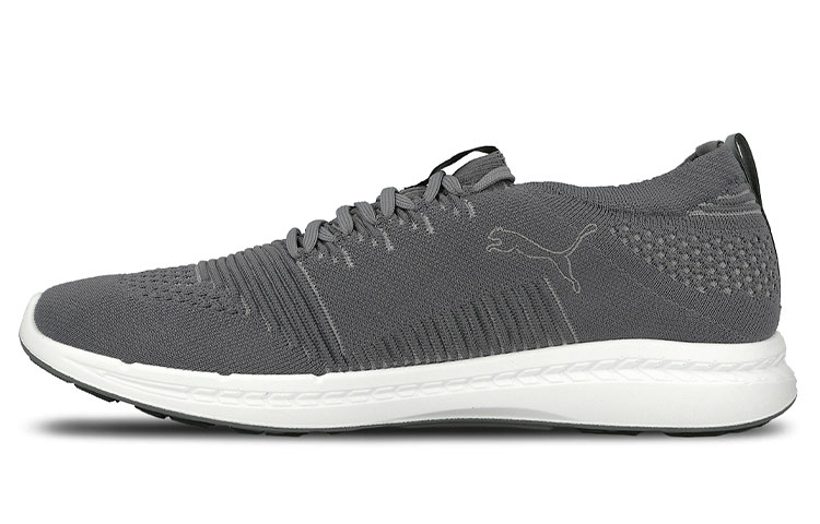 Puma Ignite Evoknit 3D 'Light Grey' 189909-04