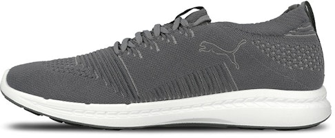 Puma Ignite Evoknit 3D 'Light Grey' 189909-04 Puma Ignite Evoknit 3D 'Light Grey' 189909-04