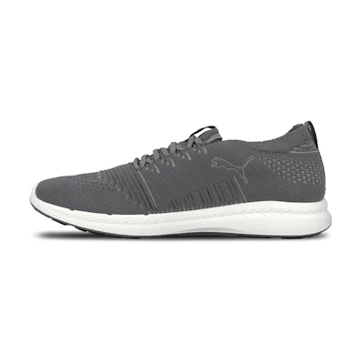 Puma Ignite Evoknit 3D 'Light Grey'