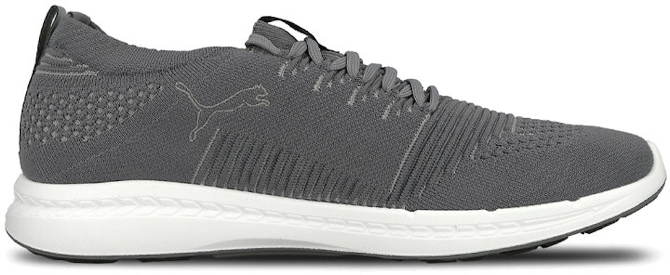 Puma Ignite Evoknit 3D 'Light Grey' 189909-04 Order Puma Ignite Evoknit 3D 'Light Grey' 189909-04