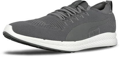 Lookbook Puma Ignite Evoknit 3D 'Gris Claro' 189909-04