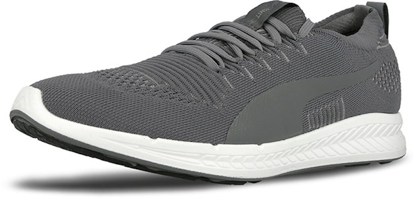 Puma Ignite Evoknit 3D 'Light Grey' 189909-04 Lookbook Puma Ignite Evoknit 3D 'Light Grey' 189909-04